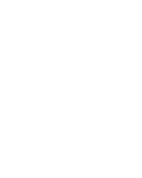 WATTCAR COTY 2027
